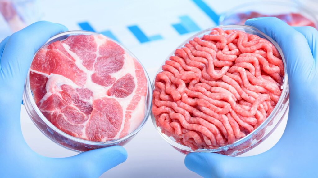 Carne coltivata in laboratorio